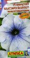   lyse blå Hage blomster Petunia Bilde