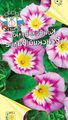   ვარდისფერი ბაღის ყვავილები ადგილზე დილით დიდება, ბუშის დილით დიდება, Silverbush / Convolvulus სურათი