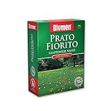 Blumen - Prato Fiorito Con Margherite 500 Gr foto, bestseller 2024-2023 nuovo, miglior prezzo EUR 11,00 recensione
