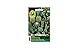 Foto Mezcla especial de cactus | Este paquete trae increíbles 50 plantas | Plantas de interior | para amantes de las plantas nuevo éxito de ventas 2024-2023