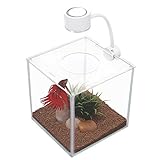 Marina Betta Kit acquario, a forma di cubo, in vetro, con luci a LED, 3,4 L foto, bestseller 2024-2023 nuovo, miglior prezzo EUR 28,40 recensione