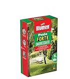 Blumen Prato Forte OMBREGGIATO 500 gr, Verde foto, bestseller 2024-2023 nuovo, miglior prezzo EUR 15,90 recensione