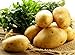 foto Bloom Green Co. 100pcs Giant & amp; I semi di patate viola anti-rughe Nutrizione verde vegetale per il giardino domestico di semina di piante di patate giardino rare: 7 nuovo bestseller 2024-2023