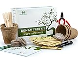 Urban Sprout Bonsai Baum Anzuchtset - Züchten Sie Ihren eigenen Bonsaibaum mit Hilfe von Samen – Garten Geschenkset - 5 Arten von Bonsai-Bäumen – Starter-Samen-Set mit Bonsai Werkzeug Set Foto, Bestseller 2024-2023 neu, bester Preis EUR 25,60 Rezension