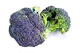 Broccoli Miranda semi - Brassica oleracea foto, bestseller 2024-2023 nuovo, miglior prezzo EUR 4,66 recensione