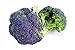 foto Broccoli Miranda semi - Brassica oleracea nuovo bestseller 2024-2023
