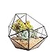 Foto Moderno terrario poliédrico triangular de cristal, de fabricación artesanal, para plantas suculentas, bonsáis o cactus nuevo éxito de ventas 2024-2023