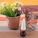 Foto MMRM Mini Blumentopf Waterer Zimmerpflanzen Automatische Tropfbewässerung Bewässerungssystem neu Bestseller 2024-2023