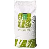 ProSementis Rasensamen Premium Schattenrasen Saatgut mit Poa Supina für schattige Rasenflächen PS-22 3kg Foto, Bestseller 2024-2023 neu, bester Preis 54,90 € (18,30 € / kg) Rezension