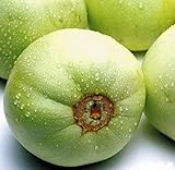 Sweet Melon Seeds (CHK) (Japanese New Mini Honeydew, 30 Seeds) Photo, bestseller 2024-2023 new, best price $9.95 ($0.33 / Count) review
