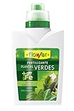 Flower 10533 - Abono líquido Plantas Verdes, 500 ml Foto, éxito de ventas 2024-2023 nuevo, mejor precio 4,55 € revisión