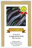Aubergine - Lunga Cima Viola - alte italienische Regionalsorte - 250 Samen Foto, Bestseller 2024-2023 neu, bester Preis 3,99 € Rezension
