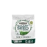 Pennington Smart Seed Sun and Shade Grass Mix 3 lb Photo, bestseller 2024-2023 new, best price $12.94 ($0.27 / Ounce) review