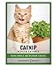 Photo Catnip Seeds for Planting is A Heirloom, Non-GMO Herb Variety- Nepeta Cataria Herb Seeds Great for Indoor and Outdoor Gardening and Indoor Outdoor Cats by Gardeners Basics new bestseller 2024-2023