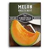 Survival Garden Seeds - Hale's Best Melon Seed for Planting - Grow Juicy Cantaloupe for Eating - Packet with Instructions to Plant in Your Home Vegetable Garden - Non-GMO Heirloom Variety Photo, bestseller 2024-2023 new, best price $4.99 review