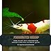 Photo FRESHWATER SHRIMP: HOW TО SET UP А FRESHWATER SHRIMP TANK THЕ ULTIMATE GUIDE new bestseller 2024-2023
