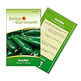 Zucchini Diamant F1 Samen - Cucurbita pepo - Zucchinisamen - Gemüsesamen - Saatgut für 5 Pflanzen Foto, Bestseller 2024-2023 neu, bester Preis 1,99 € (0,40 € / stück) Rezension