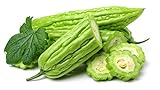 120+ Bitter Melon Gourd Seeds for Planting - Balsam Pear - Momordica charantia Bitter Squash - Heirloom Organic Non-GMO Bitter Gourd Vegetable Seeds for Home Garden/Outdoor Photo, bestseller 2024-2023 new, best price $26.23 ($0.22 / Count) review