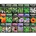 Photo Survival Garden Seeds - 18 Medicinal Herb Seeds to Plant and Grow in Your Home Vegetable Garden - Grow and Brew Your Own Herbal Teas and Tinctures for Health - Non-GMO Heirloom Varieties new bestseller 2024-2023