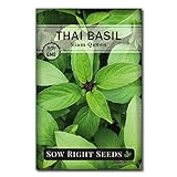 Sow Right Seeds - Sweet Large Leaf Thai Basil Seed for Planting; Non-GMO Heirloom Seeds; Instructions to Plant and Grow a Kitchen Herb Garden, Indoors or Outdoor; Great Gardening Gift Photo, bestseller 2024-2023 new, best price $4.99 review