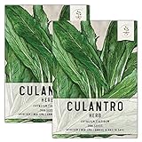 Seed Needs, Culantro Seeds for Planting (Eryngium foetidum) Twin Pack of 300 Seeds Each Non-GMO - NOT Cilantro Seeds Photo, bestseller 2024-2023 new, best price $8.85 ($0.03 / Count) review