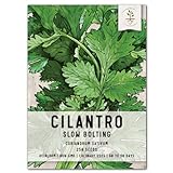 Seed Needs, Cilantro Culinary Herb Seeds for Planting (Coriandrum sativum) Single Package of 250 Seeds Non-GMO / Untreated Photo, bestseller 2024-2023 new, best price $3.99 review