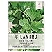 Photo Seed Needs, Cilantro Culinary Herb Seeds for Planting (Coriandrum sativum) Single Package of 250 Seeds Non-GMO / Untreated new bestseller 2024-2023