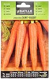 Zanahoria SAINT VALERY Foto, éxito de ventas 2024-2023 nuevo, mejor precio 1,60 € revisión