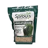 Nature Jims Sprouts Wheatgrass Seeds - 100% Organic Wheat Grass Seed for Sprouting - Cat Grass Planter Seeds, Rich in Vitamins, Fiber and Minerals - Non-GMO, Healthy Wheatgrass Sprout Growing Seed Photo, bestseller 2024-2023 new, best price $12.50 review