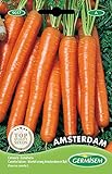 Germisem Amsterdam Semillas de Zanahoria 6 g Foto, éxito de ventas 2024-2023 nuevo, mejor precio 2,21 € revisión