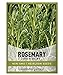 Photo Rosemary Seeds for Planting - It is A Great Heirloom, Non-GMO Herb Variety- Great for Indoor and Outdoor Gardening by Gardeners Basics new bestseller 2024-2023