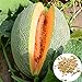Foto Semillas de melón cantaloupe, 1 bolsa de semillas dulce germen jugoso semillas de frutas naturales de la huerta nuevo éxito de ventas 2024-2023