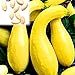 Foto Kürbiskerne, 25Pcs / Beutel Kürbis-Samen Essbare fettarme Bananenform Melone Natürliche Seed Cuaurbit Samen für die Landwirtschaft neu Bestseller 2024-2023