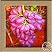 Foto Neue Samen 2016!100 Samen/Beutel 12 Arten von Traubenkernen Advanced Fruit Seed Natural Growth Trauben Sweet Kyoho Gardening neu Bestseller 2024-2023