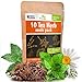 Photo 10 Herbal and Medical Tea Seeds Pack - Heirloom and Non GMO, Grown in USA - Indoor or Outdoor Garden - Chamomile, Lavender, Mint, Lemon Balm, Catnip, Peppermint, Anise, Coneflower Echinacea & More new bestseller 2024-2023
