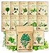 Photo NatureZ Edge 12 Herb Seeds Variety Pack, 6000+ Heirloom Seeds for Planting Hydroponic Indoor or Outdoor Home Garden Plant Seed, Parsley, Cilantro, Basil, Thyme, Chamomile, Oregano, Dill & More NonGMO new bestseller 2024-2023