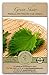 Photo Gaea's Blessing Seeds - Green Shiso Seeds (Perilla), Heirloom Non-GMO Seeds with Easy to Follow Planting Instructions, Kaori Ao Shiso, Open-Pollinated, 94% Germination Rate new bestseller 2024-2023