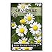 Photo Sow Right Seeds - Roman Chamomile Seeds for Planting - Non-GMO Heirloom Seeds; Instructions to Plant and Grow an Herbal Tea Garden, Indoors or Outdoor; Great Gardening Gift. (1) new bestseller 2024-2023