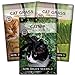 Photo Sow Right Seeds - Catnip and Cat Grass Seed Collection for Planting Indoors or Outdoors, Includes The Popular herb Seed Catnip and Cat Grass (100% Sweet Oat Grass), Non-GMO Heirloom Seed new bestseller 2024-2023