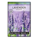 Sow Right Seeds - Lavender Seeds for Planting; Non-GMO Heirloom Seeds with Instructions to Plant and Grow a Beautiful Indoor or Outdoor herb Garden; Great Gardening Gift Photo, bestseller 2024-2023 new, best price $4.99 review