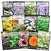 Photo Sow Right Seeds - Large Medicinal Herb Seed Collection for Planting - Lemon Balm, Lavender, Yarrow, Echinacea, Anise, Lovage, Chamomile, Calendula, Bergamot & More - Non-GMO Heirloom new bestseller 2024-2023