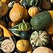 Foto Kürbiskerne, 30Pcs / Beutel Gemüsesamen Produktive Essbare Zier Mix Streifen Kürbis Sämlinge für Garten für Ideal Outdoor-Garten Geschenk neu Bestseller 2024-2023