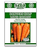 Danvers Half Long Carrot Seeds - 1000 Seeds Non-GMO Photo, bestseller 2024-2023 new, best price $1.59 review