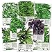 Photo Basil Seed Packet Collection (8 Individual Seed Packets) Non-GMO Seeds by Seed Needs new bestseller 2024-2023