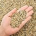 Photo 2.7 lb Coarse Sand Stone - Succulents and Cactus Bonsai DIY Projects Rocks, Decorative Gravel for Plants and Vases Fillers，Terrarium, Fairy Gardening, Natural Stone Top Dressing for Potted Plants. new bestseller 2024-2023