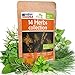 Photo 14 Culinary Herb Seeds Pack - Heirloom and Non GMO, Grown in USA - Indoor or Outdoor Garden - Basil, Parsley, Dill, Cilantro, Rosemary, Mint, Thyme, Oregano, Tarragon, Chives, Sage & More new bestseller 2024-2023