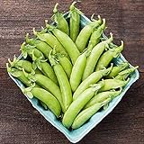 David's Garden Seeds Pea Snap Cascadia 4567 (Green) 100 Non-GMO, Open Pollinated Seeds Photo, bestseller 2024-2023 new, best price $3.45 review