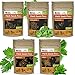 Photo Parsley, Basil, Cilantro, Oregano, Chives - 5 Culinary Herb Seeds Pack - Heirloom and Non GMO, Grown in USA - Indoor or Outdoor Garden new bestseller 2024-2023