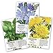 Photo Seed Needs, Dandelion Seed Collection (3 Individual Packets) Non-GMO new bestseller 2024-2023