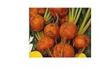 30x Barbabietole Giallo Burpee's Galten - Semi di Barbabietola Verdure KS518 foto, bestseller 2024-2023 nuovo, miglior prezzo EUR 11,82 recensione